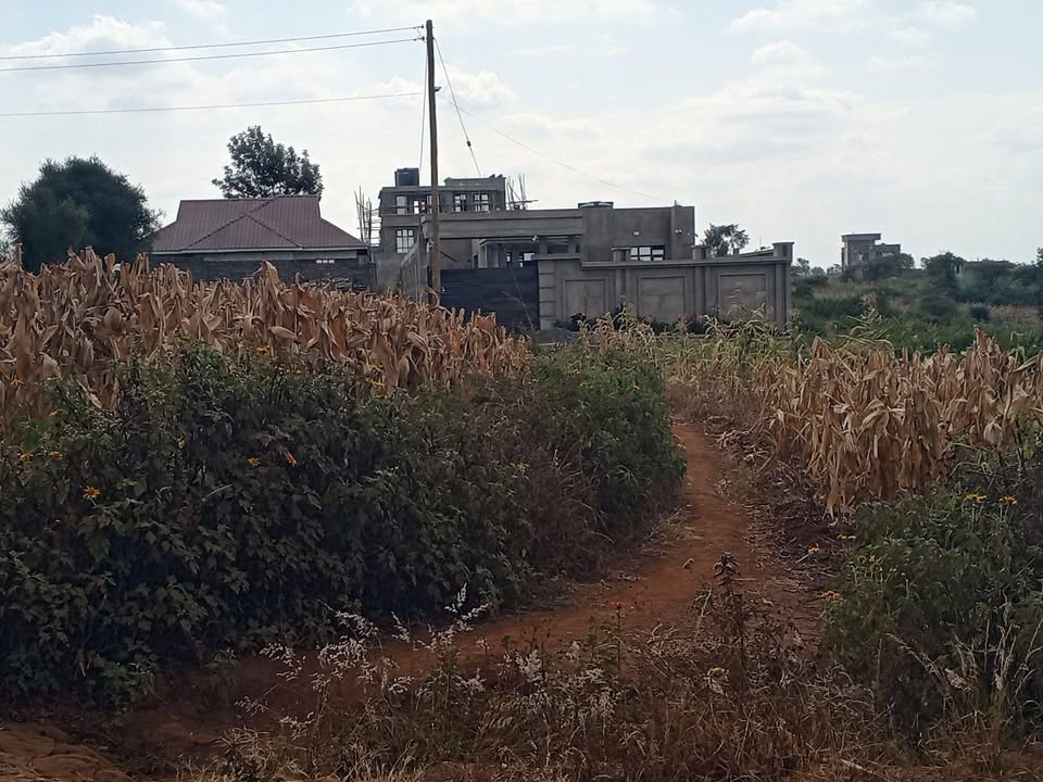 1/8 OF AN ACRE AT TOLL AREA, RUIRU, KIAMBU COUNTY